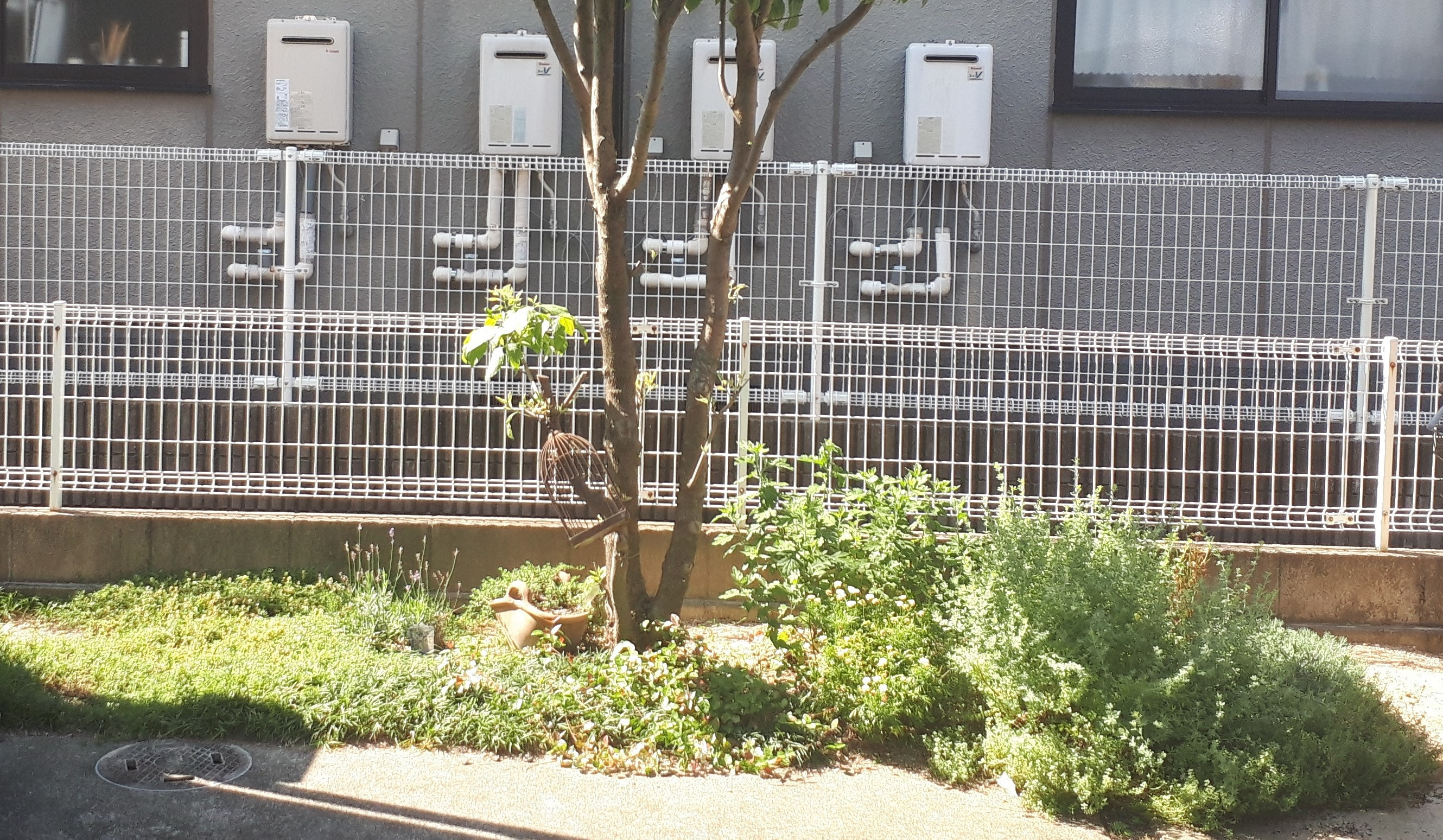 img20210528232815574563.jpg
