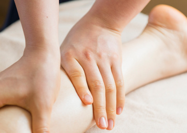 セレクトコース